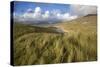 Beach at Luskentyre with Dune Grasses Blowing-Lee Frost-Stretched Canvas