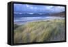 Beach at Luskentyre with Dune Grasses Blowing-Lee Frost-Framed Stretched Canvas