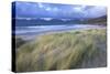 Beach at Luskentyre with Dune Grasses Blowing-Lee Frost-Stretched Canvas
