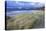 Beach at Luskentyre with Dune Grasses Blowing-Lee Frost-Stretched Canvas