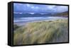 Beach at Luskentyre with Dune Grasses Blowing-Lee Frost-Framed Stretched Canvas