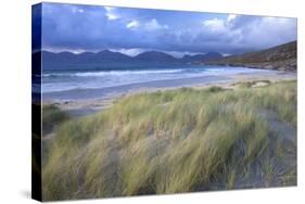 Beach at Luskentyre with Dune Grasses Blowing-Lee Frost-Stretched Canvas