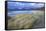 Beach at Luskentyre with Dune Grasses Blowing-Lee Frost-Framed Stretched Canvas