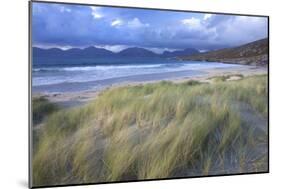 Beach at Luskentyre with Dune Grasses Blowing-Lee Frost-Mounted Photographic Print