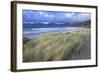 Beach at Luskentyre with Dune Grasses Blowing-Lee Frost-Framed Photographic Print