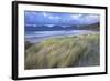 Beach at Luskentyre with Dune Grasses Blowing-Lee Frost-Framed Photographic Print