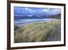 Beach at Luskentyre with Dune Grasses Blowing-Lee Frost-Framed Photographic Print