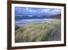 Beach at Luskentyre with Dune Grasses Blowing-Lee Frost-Framed Photographic Print