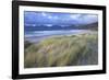 Beach at Luskentyre with Dune Grasses Blowing-Lee Frost-Framed Photographic Print