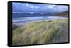 Beach at Luskentyre with Dune Grasses Blowing-Lee Frost-Framed Stretched Canvas