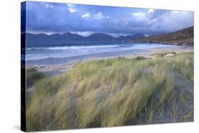 Beach at Luskentyre with Dune Grasses Blowing-Lee Frost-Stretched Canvas