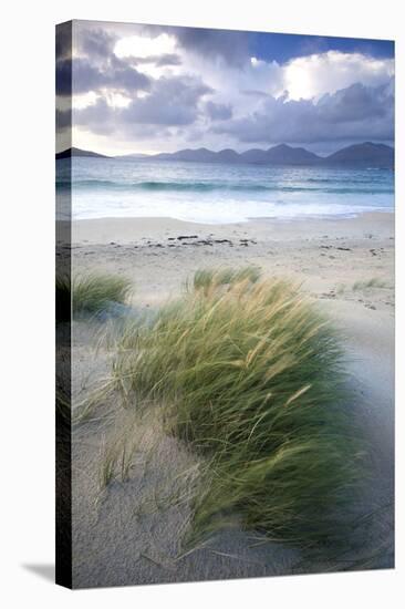 Beach at Luskentyre with Dune Grasses Blowing-Lee Frost-Stretched Canvas