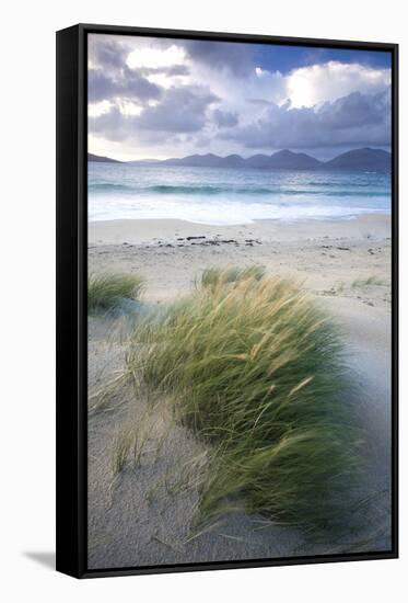 Beach at Luskentyre with Dune Grasses Blowing-Lee Frost-Framed Stretched Canvas