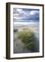 Beach at Luskentyre with Dune Grasses Blowing-Lee Frost-Framed Premium Photographic Print