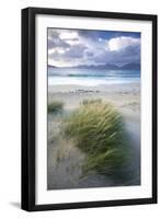 Beach at Luskentyre with Dune Grasses Blowing-Lee Frost-Framed Premium Photographic Print