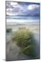 Beach at Luskentyre with Dune Grasses Blowing-Lee Frost-Mounted Premium Photographic Print