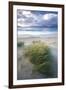 Beach at Luskentyre with Dune Grasses Blowing-Lee Frost-Framed Photographic Print