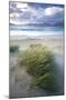 Beach at Luskentyre with Dune Grasses Blowing-Lee Frost-Mounted Photographic Print