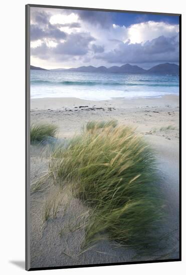 Beach at Luskentyre with Dune Grasses Blowing-Lee Frost-Mounted Photographic Print