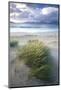 Beach at Luskentyre with Dune Grasses Blowing-Lee Frost-Mounted Photographic Print