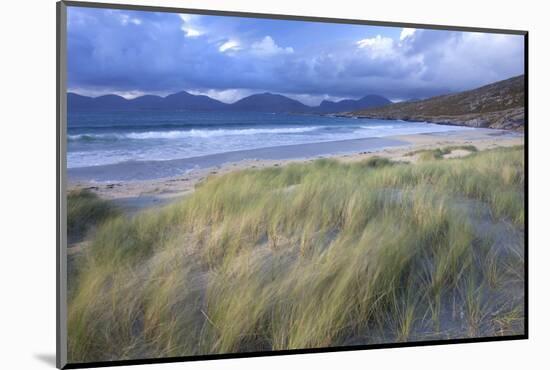 Beach at Luskentyre with Dune Grasses Blowing-Lee Frost-Mounted Photographic Print