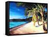 Beach at Magens Bay, St Thomas, USVI - I-Markus Bleichner-Framed Stretched Canvas