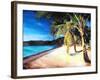 Beach at Magens Bay, St Thomas, USVI - I-Markus Bleichner-Framed Art Print