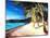 Beach at Magens Bay, St Thomas, USVI - I-Markus Bleichner-Mounted Art Print