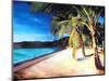 Beach at Magens Bay, St Thomas, USVI - I-Markus Bleichner-Mounted Art Print