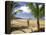 Beach at Magnetic Island, Queensland, Australia-Thorsten Milse-Stretched Canvas