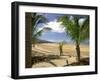 Beach at Magnetic Island, Queensland, Australia-Thorsten Milse-Framed Photographic Print