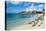 Beach at Maho Bay, Sint Maarten, West Indies, Caribbean, Central America-Michael Runkel-Stretched Canvas