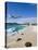 Beach at Maho Bay, St. Martin, Leeward Islands, West Indies-Gavin Hellier-Stretched Canvas