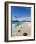 Beach at Maho Bay, St. Martin, Leeward Islands, West Indies-Gavin Hellier-Framed Premium Photographic Print