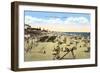 Beach at Oceanside, California-null-Framed Art Print