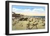 Beach at Oceanside, California-null-Framed Art Print