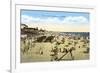 Beach at Oceanside, California-null-Framed Art Print
