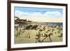 Beach at Oceanside, California-null-Framed Art Print
