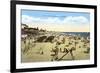 Beach at Oceanside, California-null-Framed Art Print