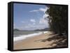 Beach at Palm Cove, Cairns, North Queensland, Australia, Pacific-Nick Servian-Framed Stretched Canvas