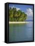 Beach at Pigeon Point on the Southwest Coast of the Island, Tobago, Caribbean, West Indies-Louise Murray-Framed Stretched Canvas