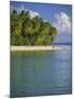 Beach at Pigeon Point on the Southwest Coast of the Island, Tobago, Caribbean, West Indies-Louise Murray-Mounted Photographic Print
