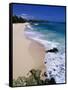 Beach at Sam Lords Castle, East Coast-Angelo Cavalli-Framed Stretched Canvas