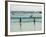 Beach at Santa Maria, Sal (Salt), Cape Verde Islands, Atlantic Ocean, Africa-Robert Harding-Framed Photographic Print