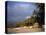 Beach at Sayulita, Near Puerto Vallarta, Mexico, North America-James Gritz-Stretched Canvas