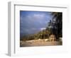 Beach at Sayulita, Near Puerto Vallarta, Mexico, North America-James Gritz-Framed Photographic Print