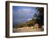 Beach at Sayulita, Near Puerto Vallarta, Mexico, North America-James Gritz-Framed Photographic Print