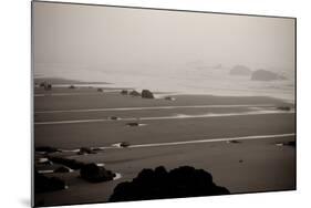 Beach at Seal Rock II-Erin Berzel-Mounted Photographic Print