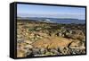 Beach at Seawall, Mount Desert Island, near Arcadia National Park, Maine, New England, USA-Jean Brooks-Framed Stretched Canvas