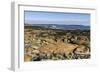 Beach at Seawall, Mount Desert Island, near Arcadia National Park, Maine, New England, USA-Jean Brooks-Framed Photographic Print